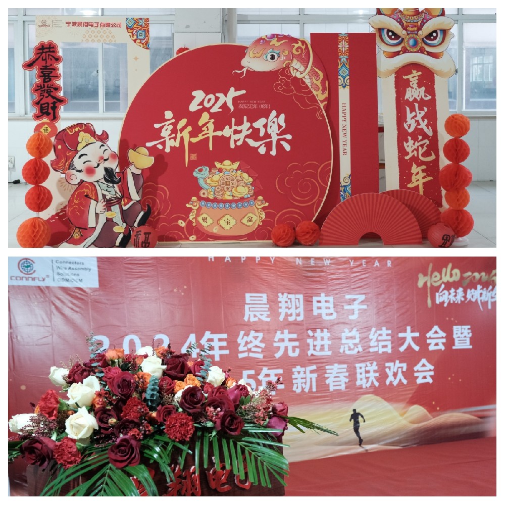 晨翔電子2024年終先進(jìn)總結(jié)大會暨2025年新春聯(lián)歡會圓滿落幕！